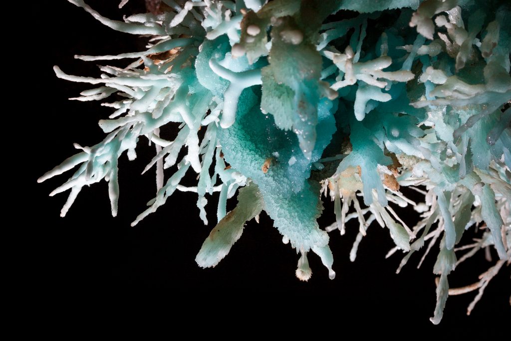 Les crystals bleu