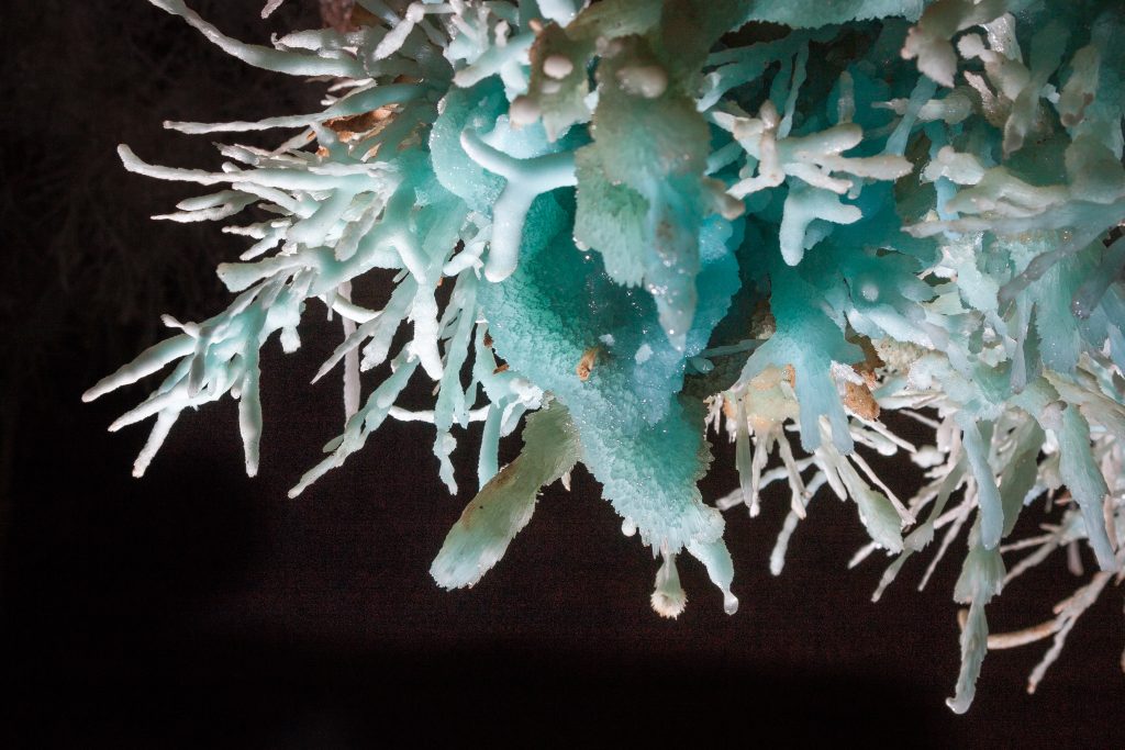 Les crystals bleu