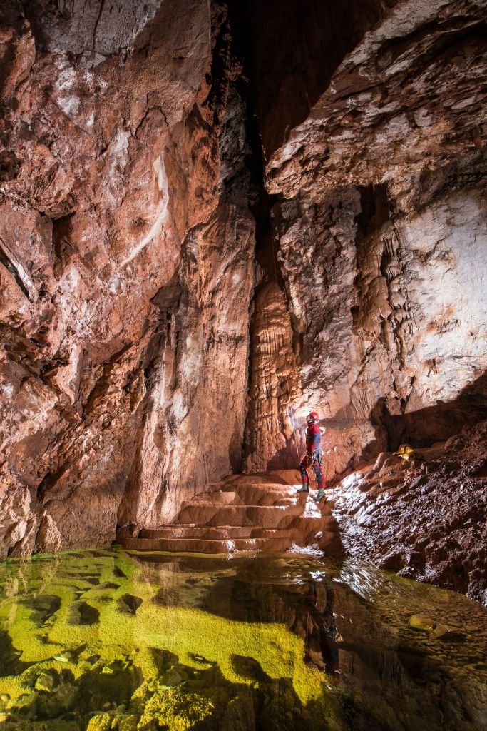 The great beech cave