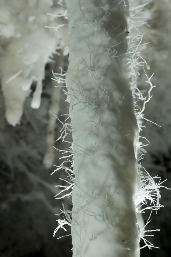 ARAGONITE