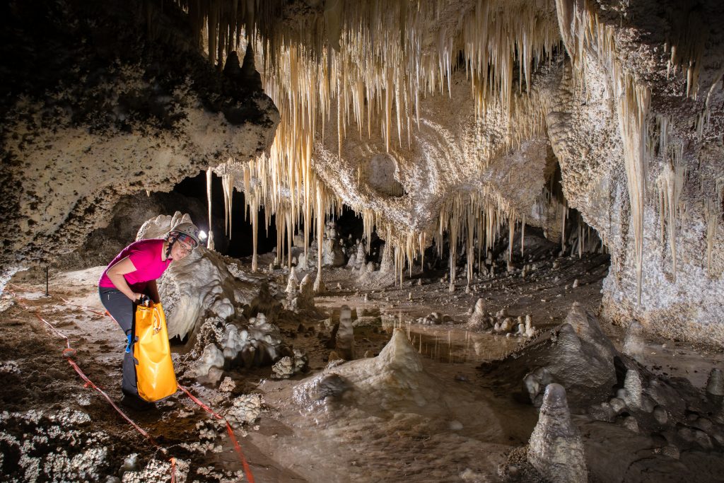 White stalactites