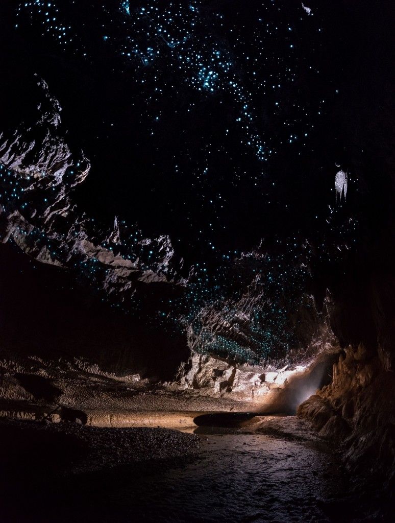 Glow Worms - Vertical panorama