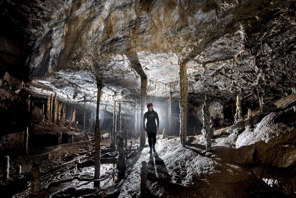 The Stalagmite Forest