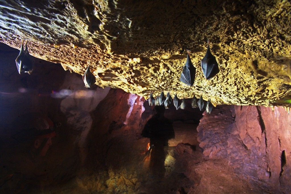 Underground mystic world