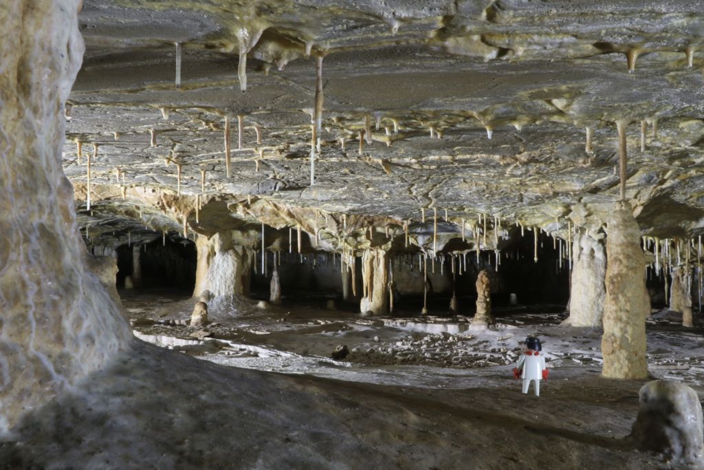 Kamila Šírová Motyčková