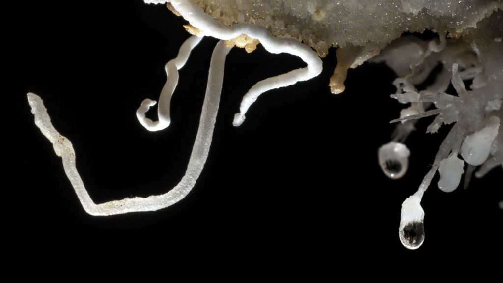 Cosmin Nistor, coauthor Cristian Tzecu