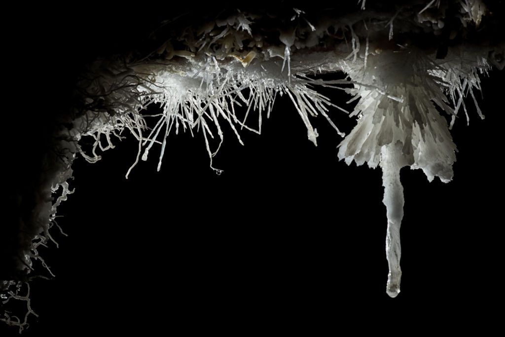 Cristian Tzecu & Cosmin Nistor