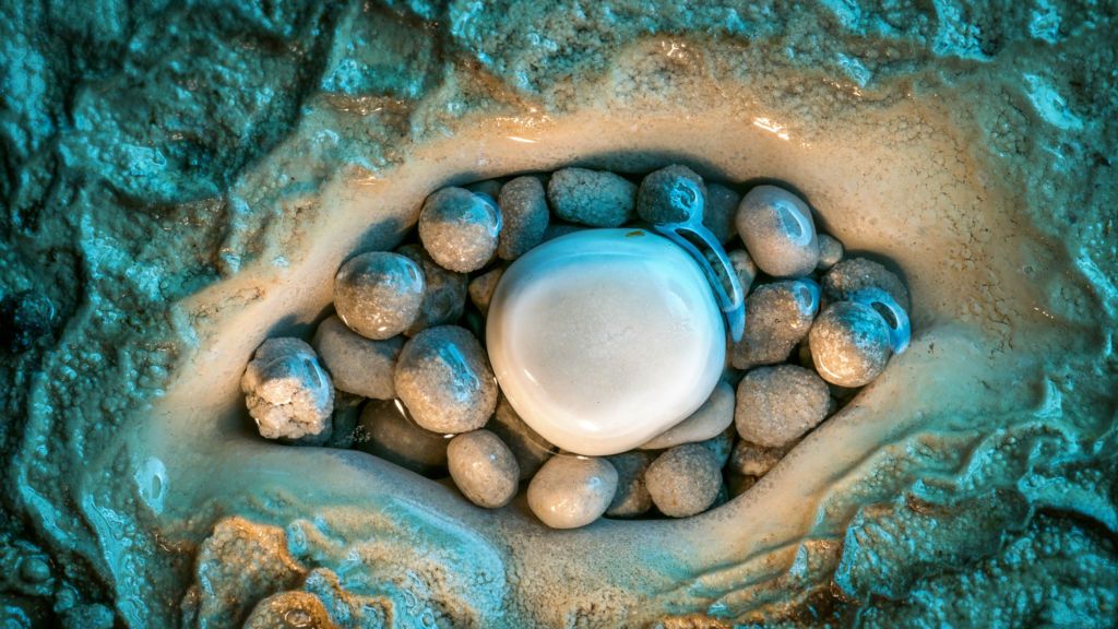 Cristian Tzecu & Cosmin Nistor